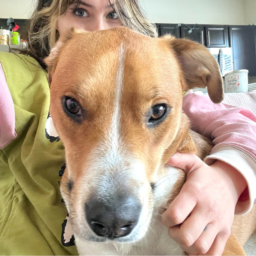 Meet your Posher, Cait